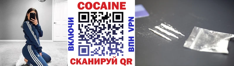 Купить закладки  Грязи  COCAIN Эквадор 
