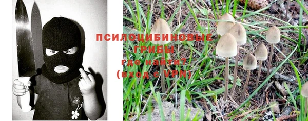 ПСИЛОЦИБИНОВЫЕ ГРИБЫ Алексеевка