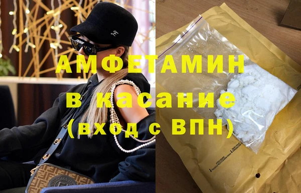 прущие грибы Алзамай