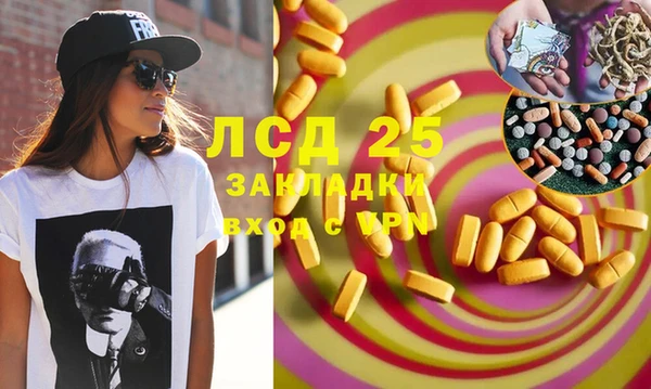 прущие грибы Алзамай